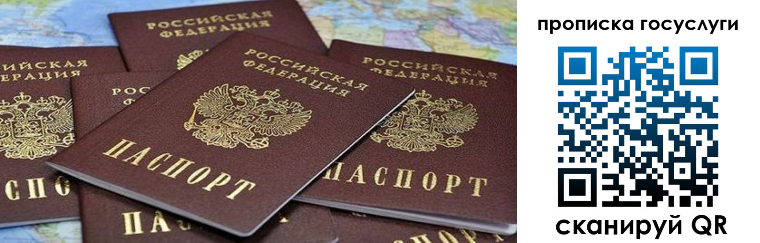 пропишу в квартире в Новоалтайске